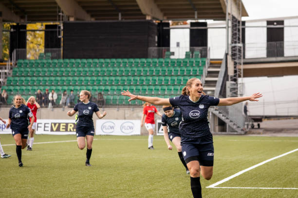 以寻求新的 以寻求新的