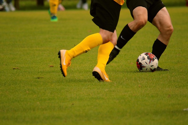 不仅在上升 不仅在上升